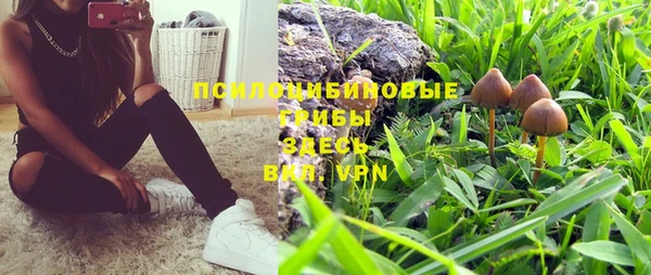 не бодяженный Беломорск